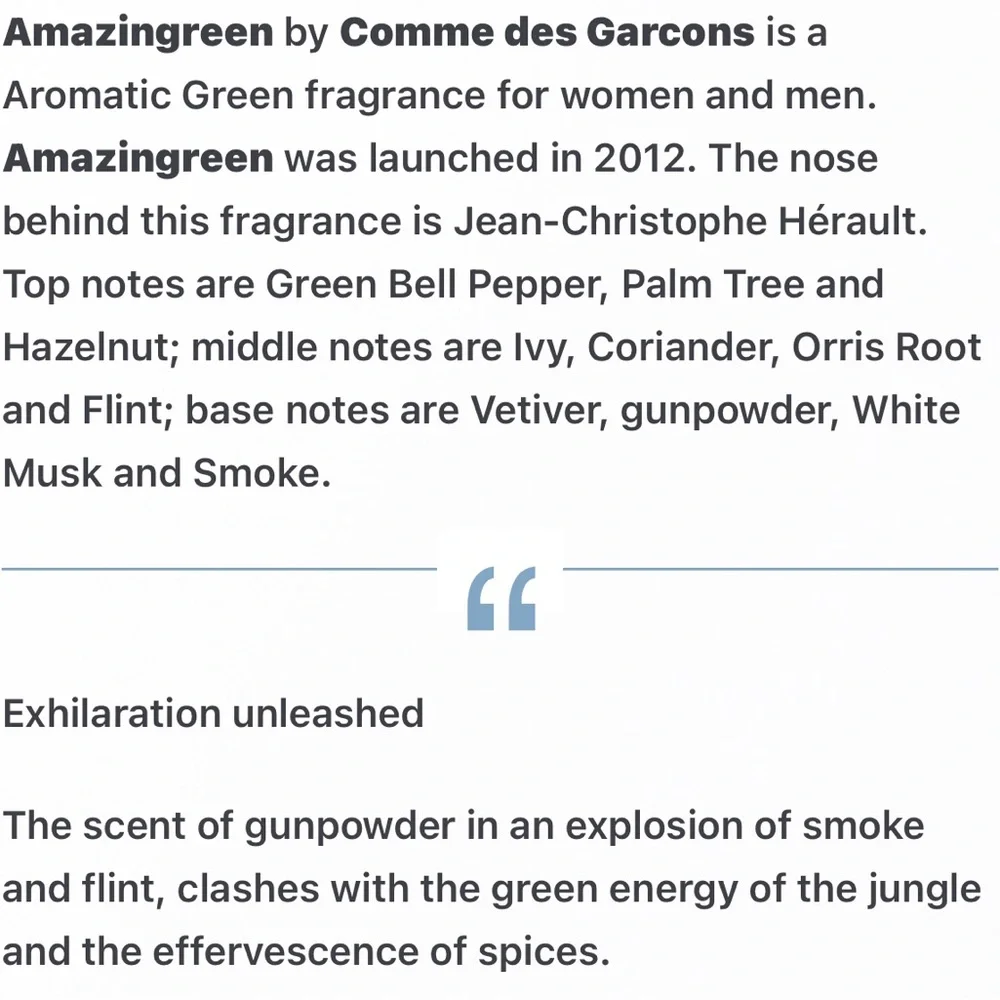 Comme des Garçons Amazing Green > CHECK EBAY - Picture 7 of 8